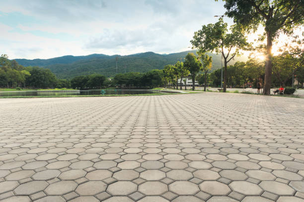 Best Residential Paver Driveway  in Chase, PA
